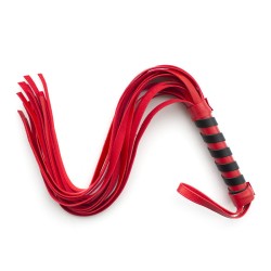 bondage class whip